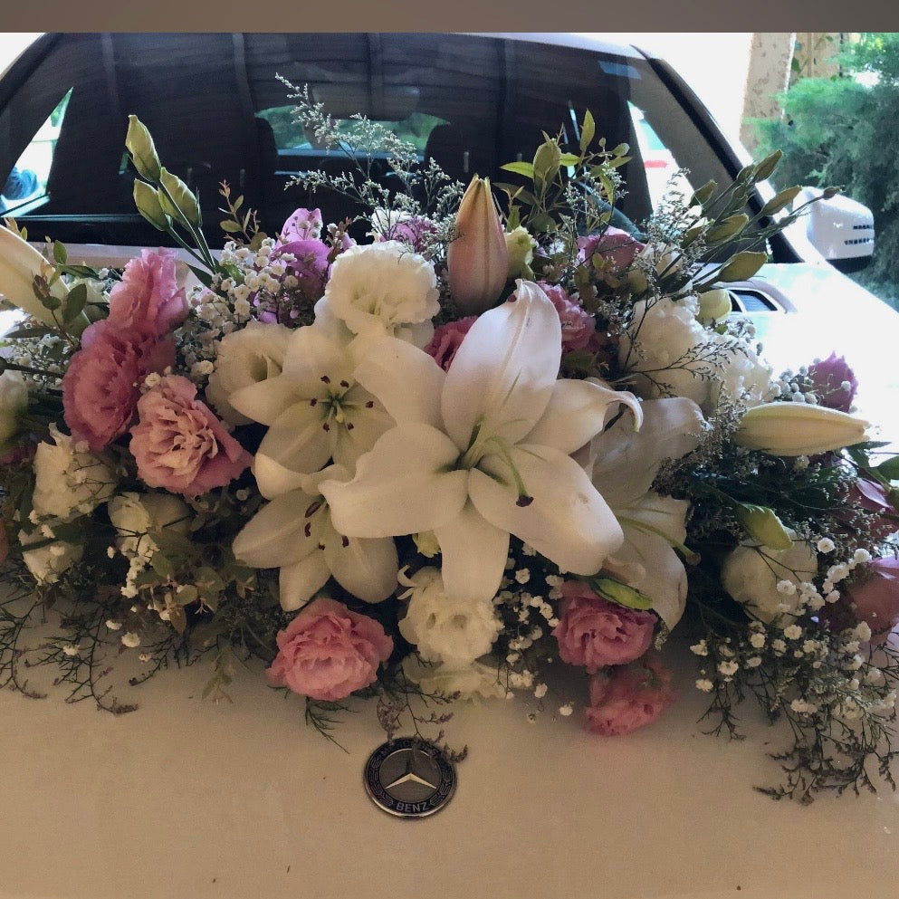 Galería Novios