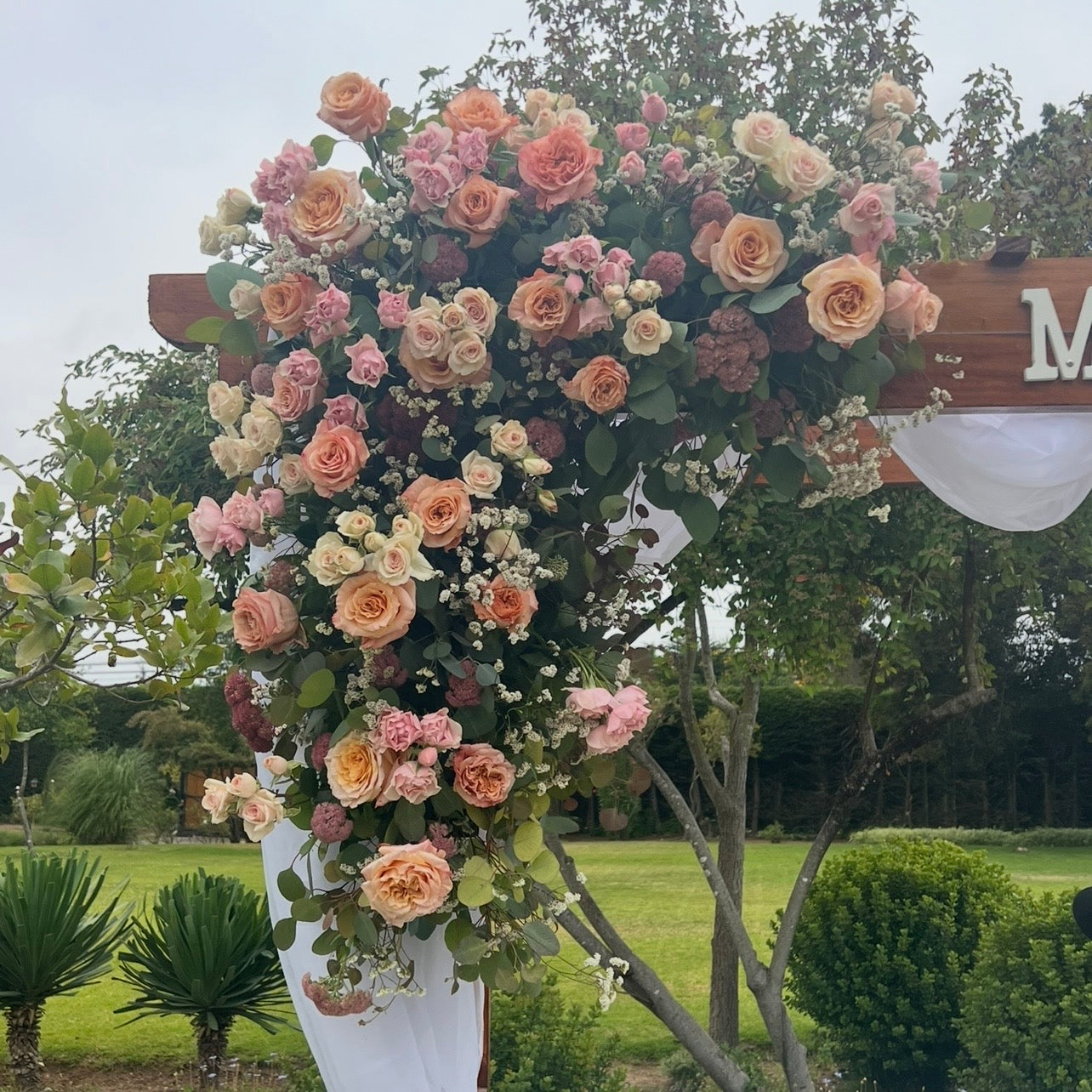 Galería Novios