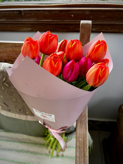 Manojo de Tulipanes