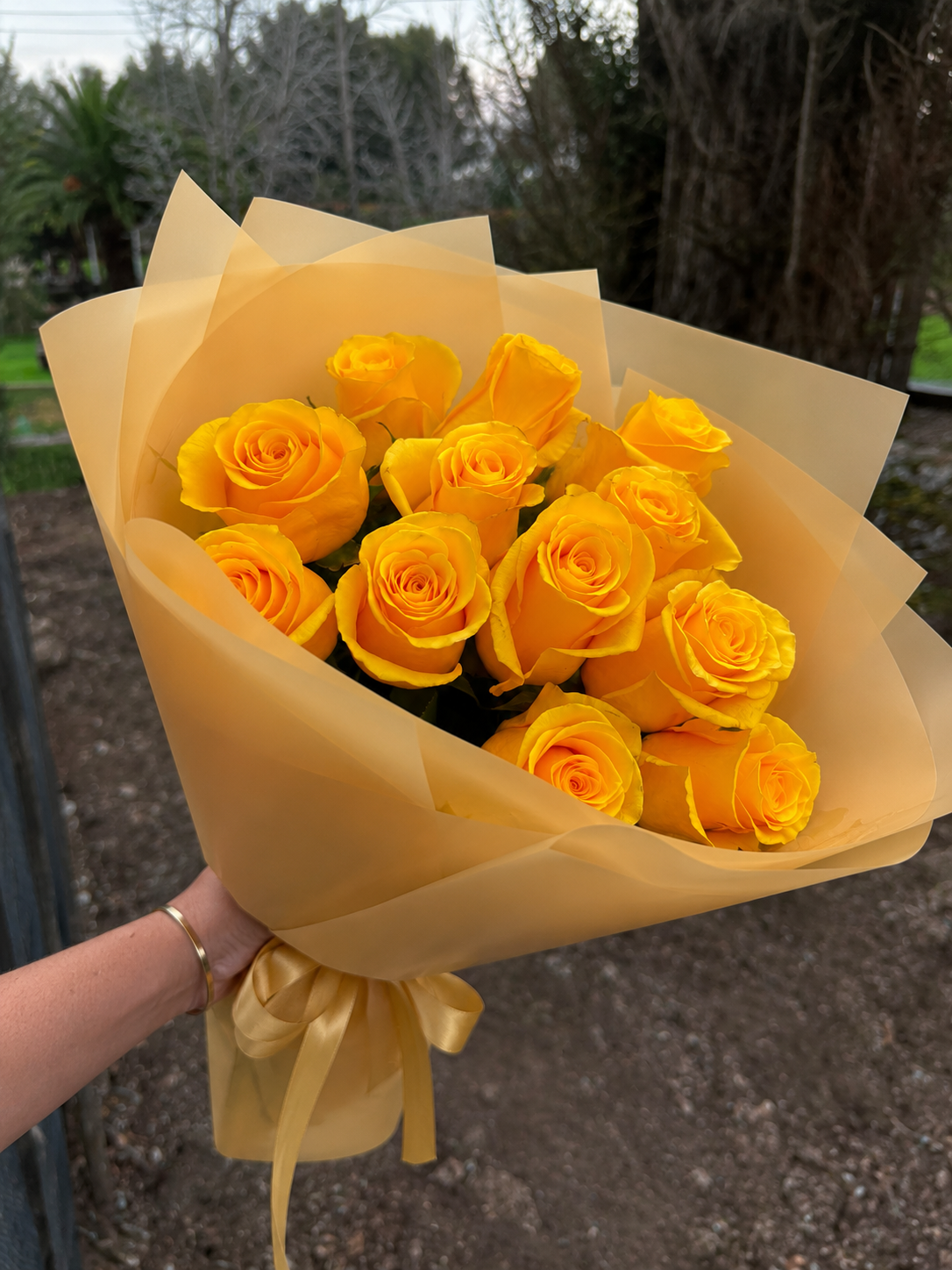 12 Rosas Amarillas