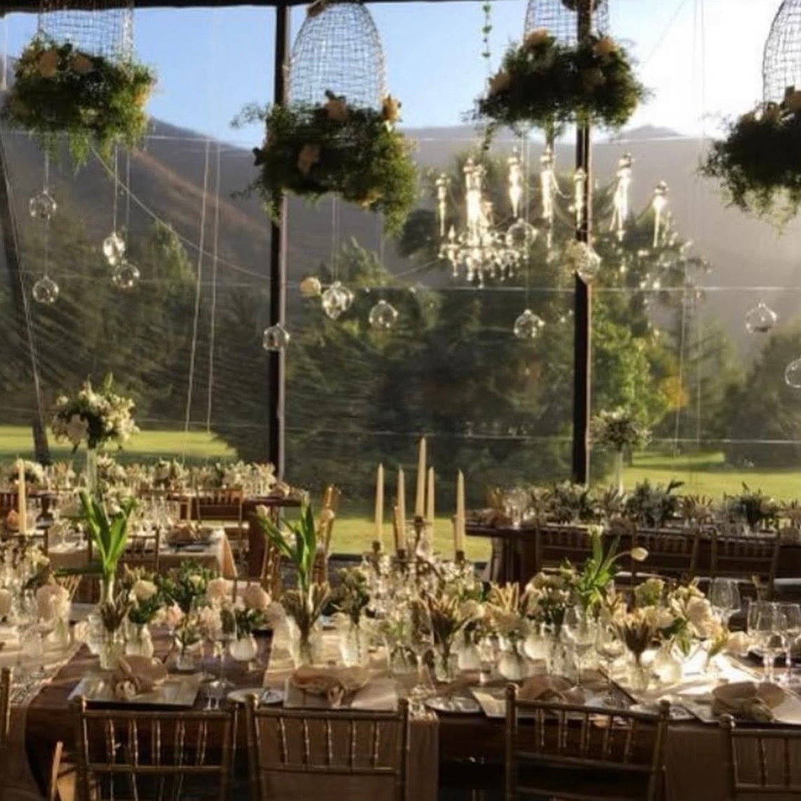 Galería Novios