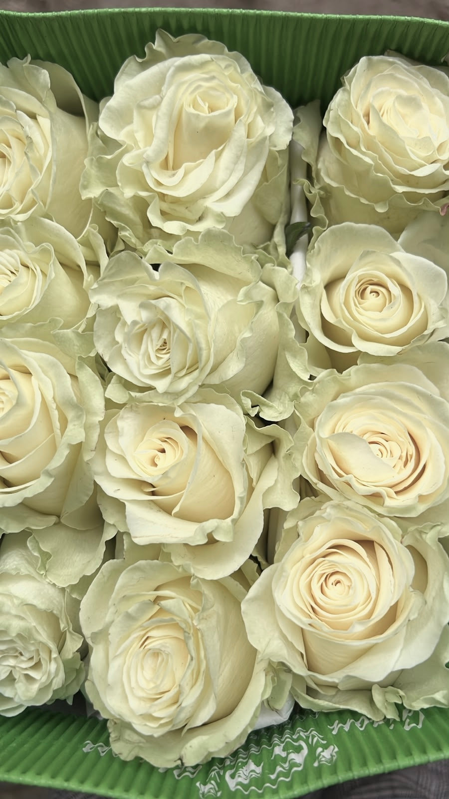 Ramo de 24 Rosas Ecuatorianas