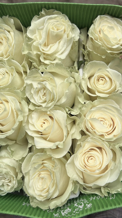 Ramo de 24 Rosas Ecuatorianas