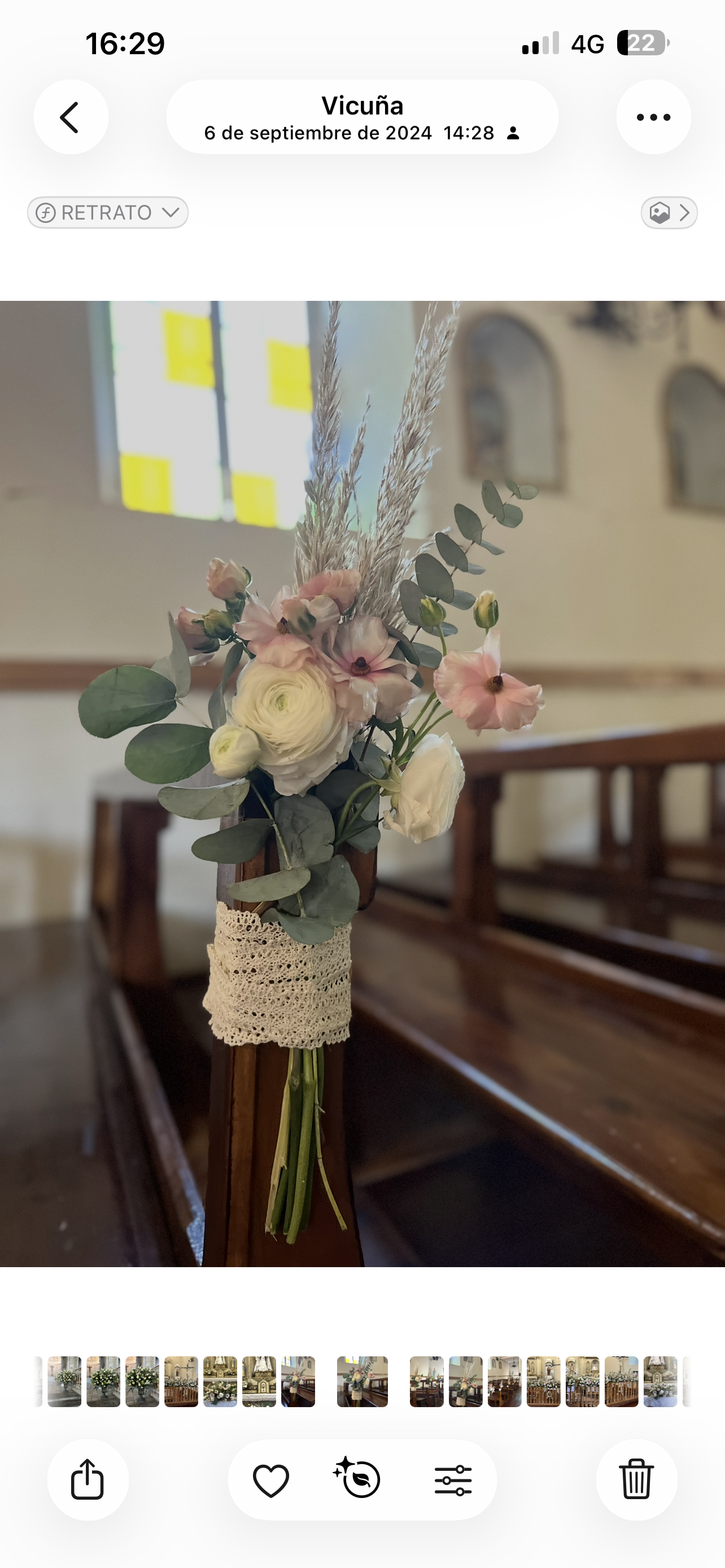 Galería Novios