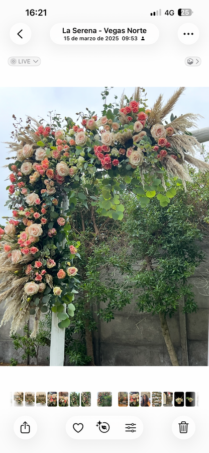 Galería Novios