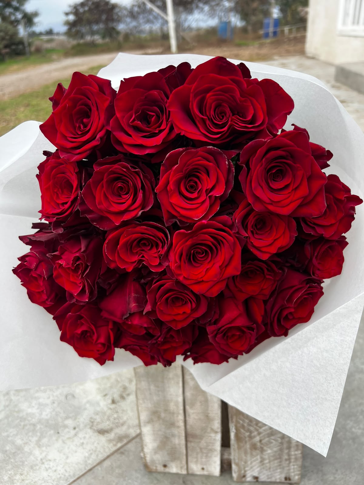 Ramo de 24 Rosas Ecuatorianas