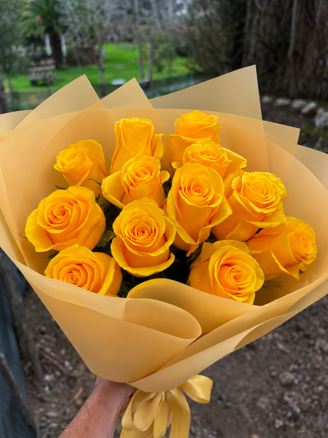 12 Rosas Amarillas