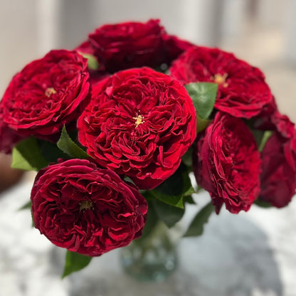 Rosas tipo GARDEN