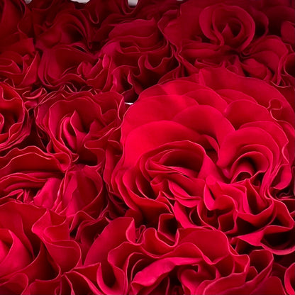 Rosas tipo GARDEN