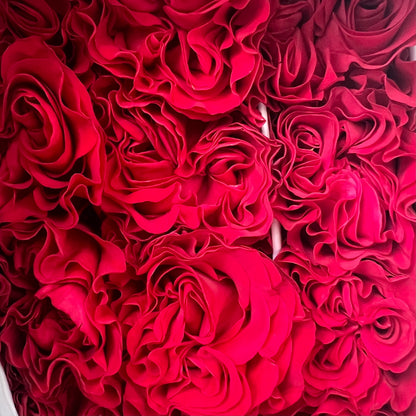 Rosas tipo GARDEN