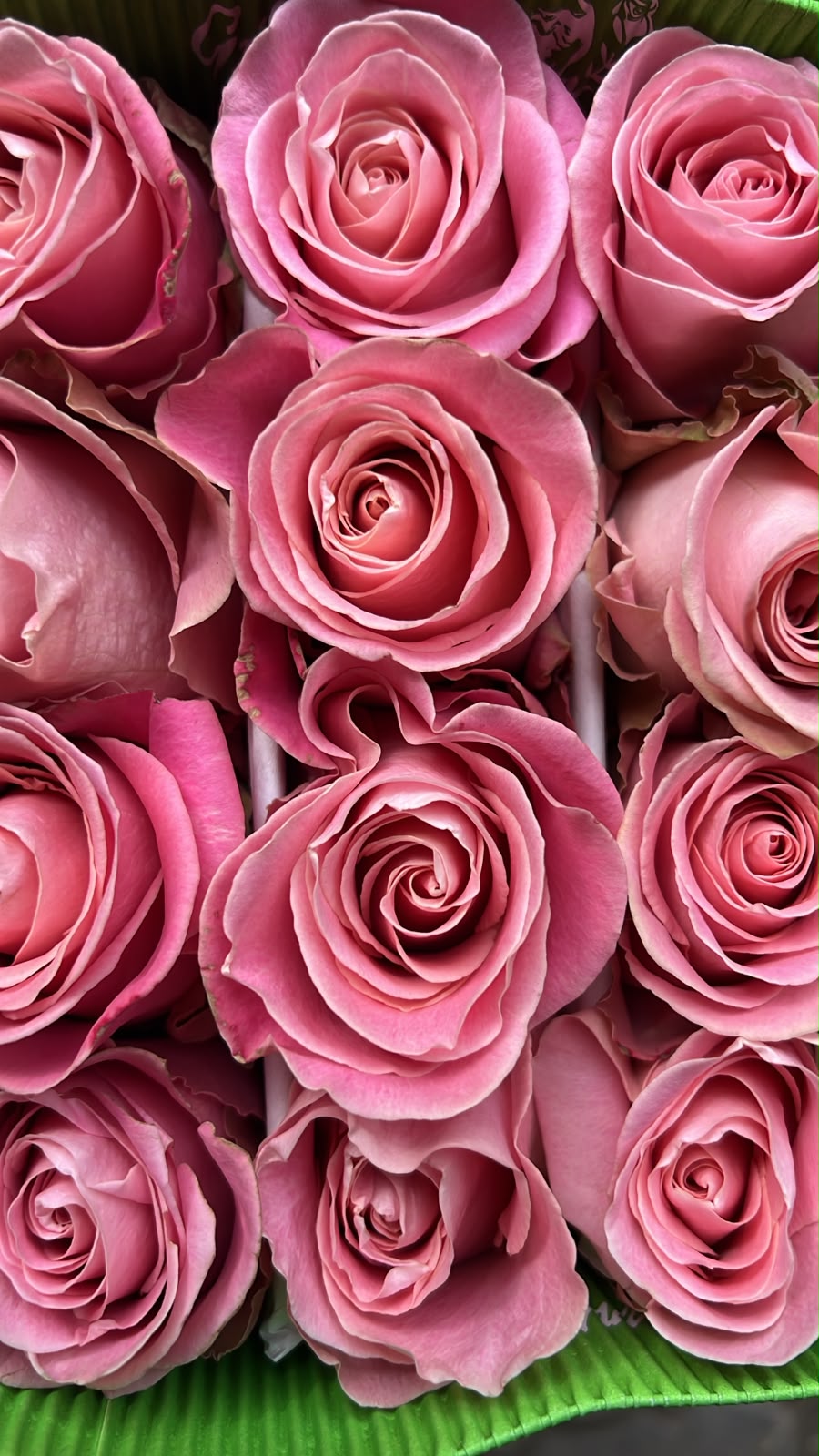 Ramo de 24 Rosas Ecuatorianas
