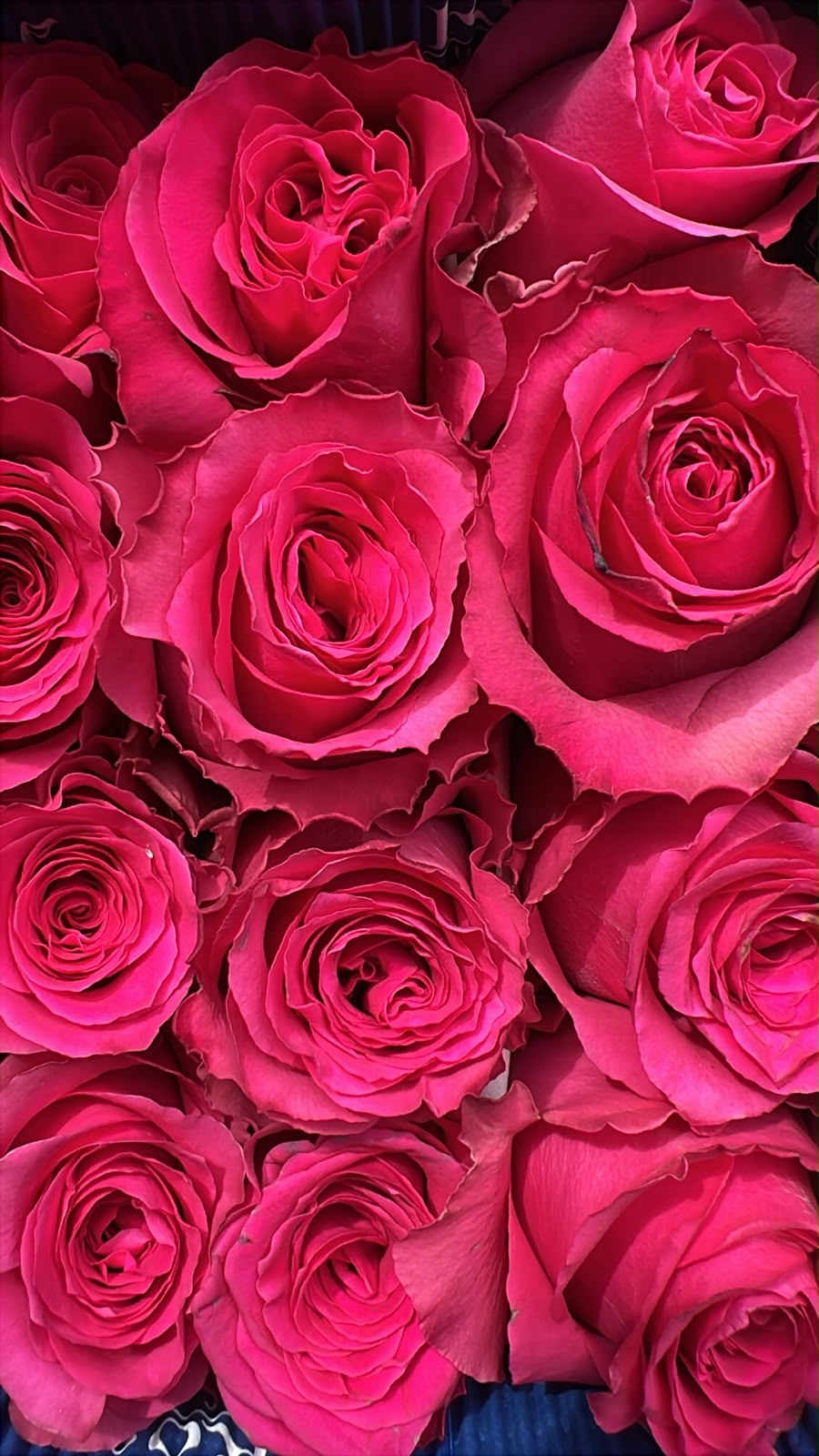 Ramo de 24 Rosas Ecuatorianas