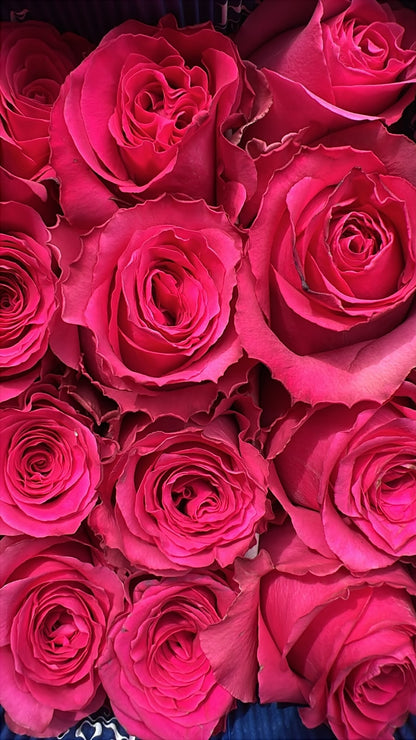 Ramo de 24 Rosas Ecuatorianas
