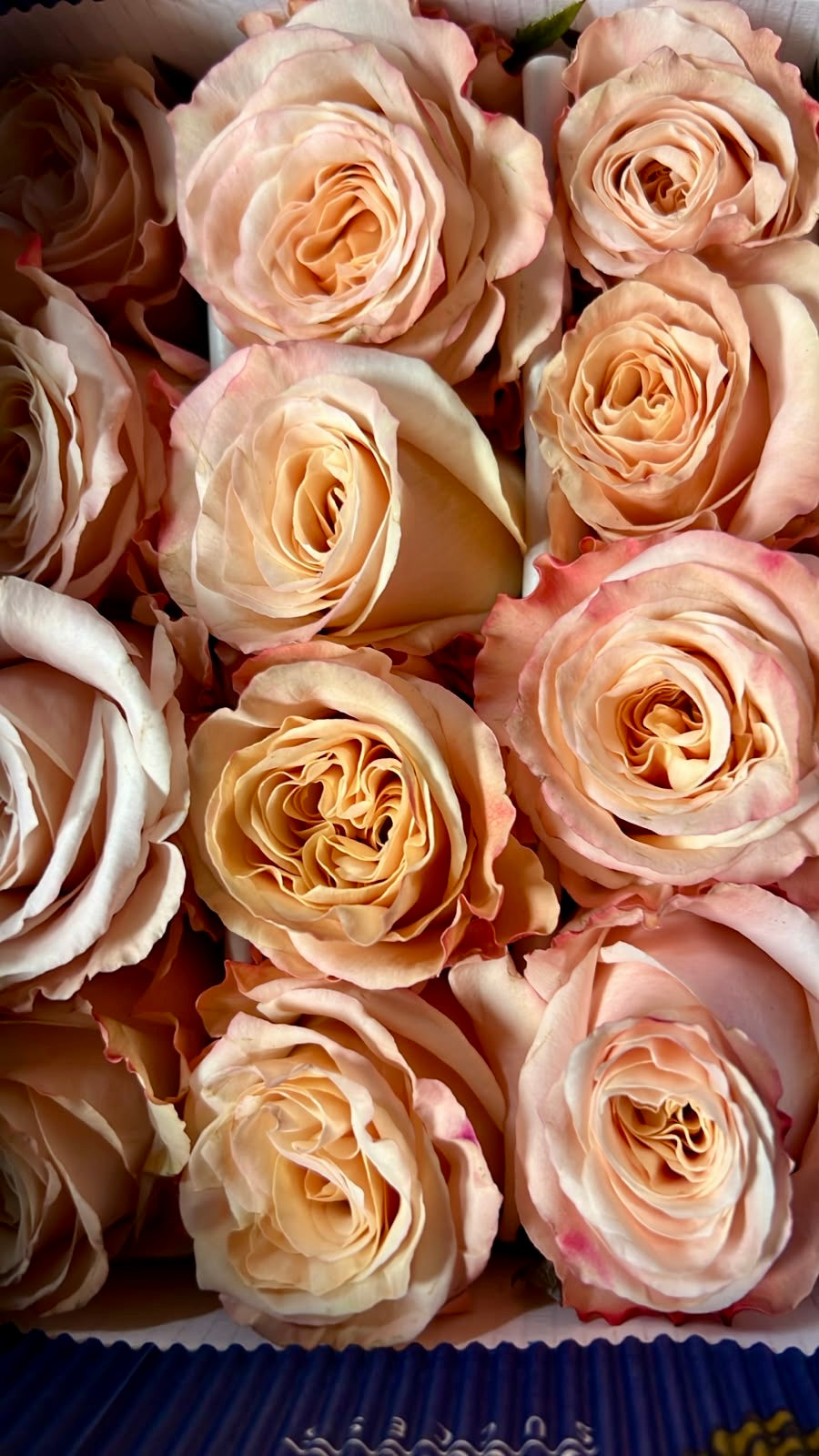 Ramo de 24 Rosas Ecuatorianas