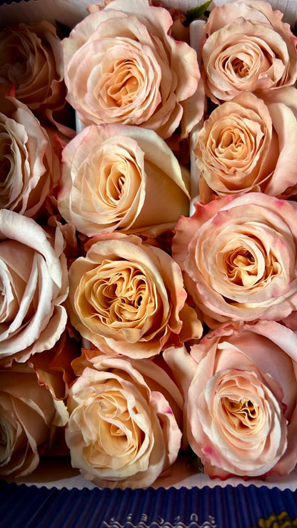 Ramo de 24 Rosas Ecuatorianas