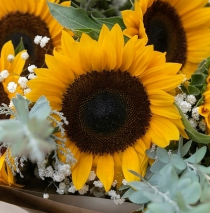 Ramo de Girasoles